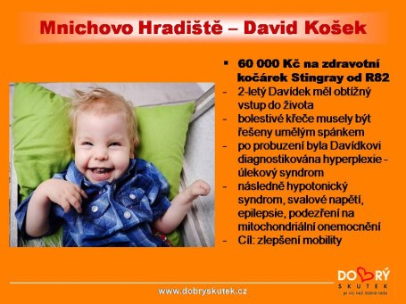 davidek-kosek455